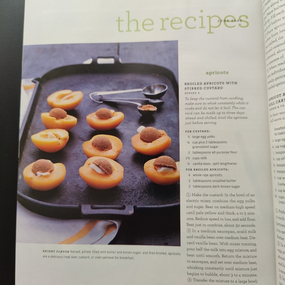 Y2K | Martha Stewart Living magazine June 2003 - Picture 8 of 14